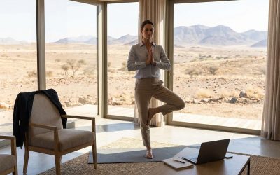 The Needeye Review: Retail Reality and Consumer Power in Zambia, Botswana and Zimbabwe